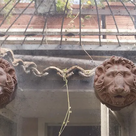 Barberini Lions *